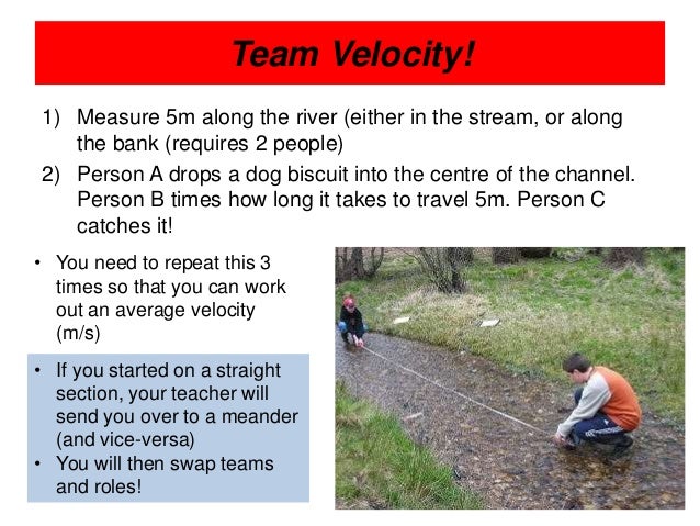 river tillingbourne coursework river tillingbourne coursework